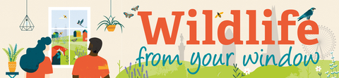 Wildlife from your window banner image