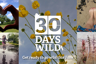 30 Days Wild Campaign Graphic