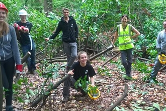 Volunteers at the Great North Wood