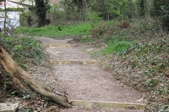 New Steps at Biggin Hill Wood
