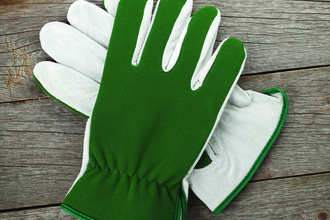 Green gloves 