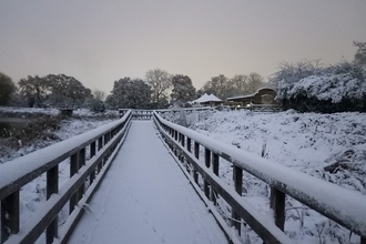 A snow covered bridge at Woodberry Wetlands