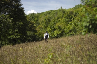 A young man walking across a meadow field with trees surrounding in Hutchinson's Bank.