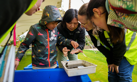 Local families learn about the power of water and its role in enabling nature to thrive.)