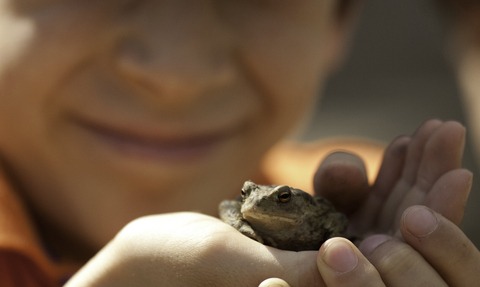 A child smiling in the background with hands holding a toad in the foreground