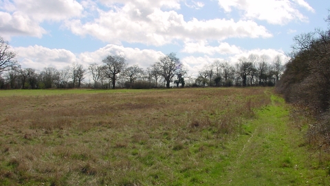 Totteridge Fields