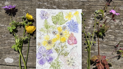 A wildflower print on watercolour paper