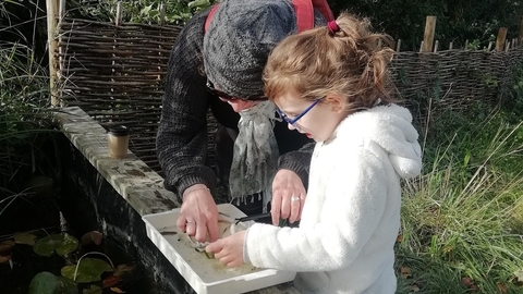 Pond dipping at Walthamstow Wetlands