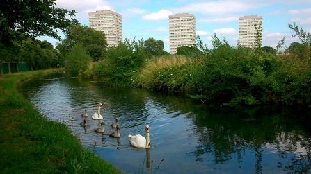 View at Woodberry Wetlands
