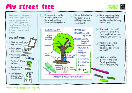 Street tree instructions