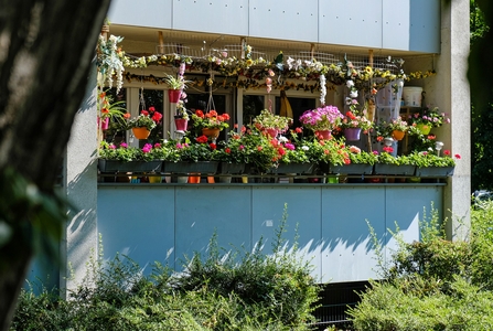 A balcony filled with window boxes and hanging baskets