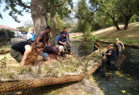 Volunteers helping to install a floating reedbed