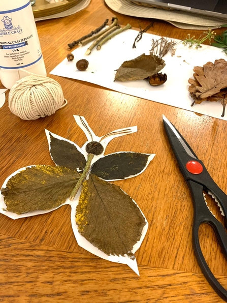 Butterfly crafting 