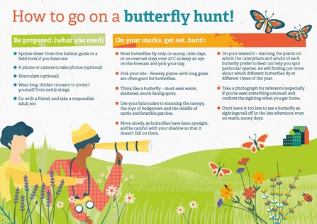 How to go on a butterfly hunt poster