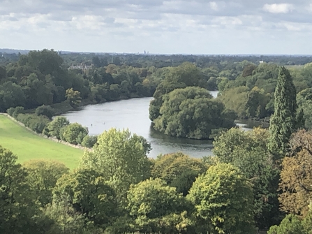 View of Thames atop Terrace Gardens, Richmond