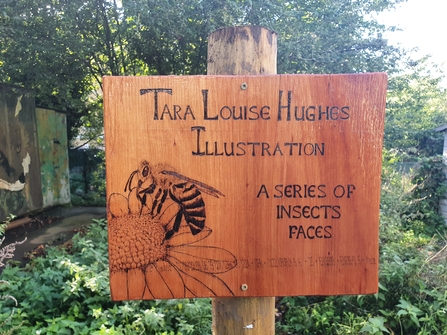 Wooden sign introducing 'A series of insect faces'