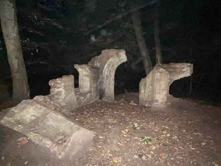 Stone ruins stand in a clearing in a wooded area