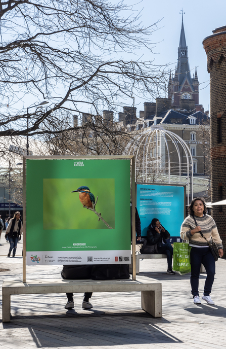 A billboard with a Kingfisher on above a bench in Kings Cross