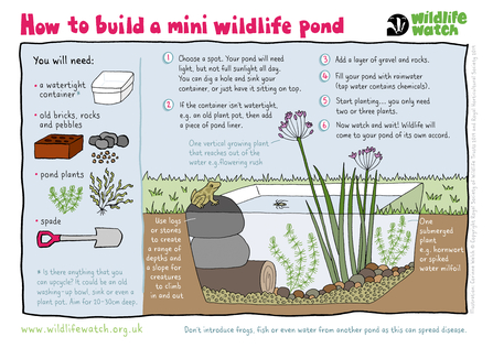 A picture guide with text reading: How to build a mini wildlife pond