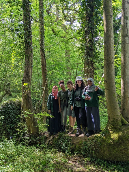 A group of people stand in a woodland area atop a ivy covered trunk