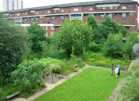 Aerial view of green lawn and foliage at Clapton Park