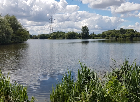 Walthamstow Wetlands reservoir
