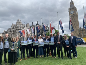 A large group of MPs standing in parliament square