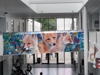 Haringey foxes