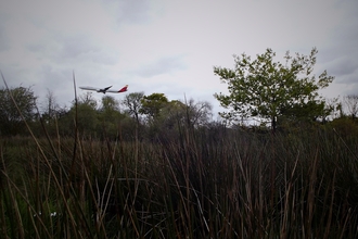 Plane at Huckerby's Meadows