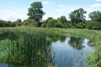 Frays Farm Meadows