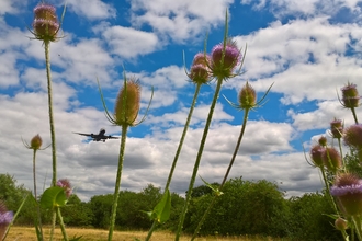 Huckerby's Meadows