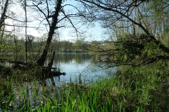 Denham Lock Wood SSSI