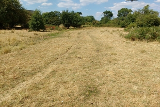 Dry meadow at Huckerby's