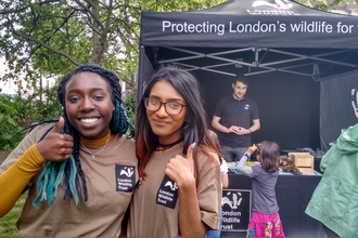 Nature Festival Newington Green