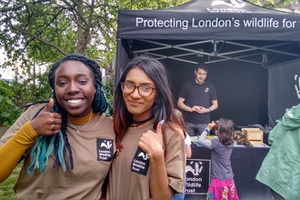 Nature Festival Newington Green 