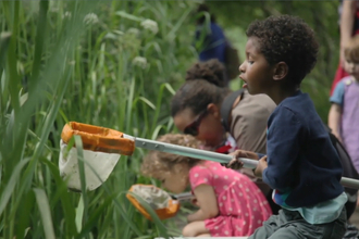 Pond dipping at Camley Street Natural Park
