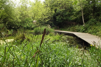 Gunnersbury Triangle