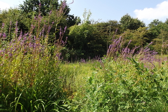 Birdbrook Nature Reserve