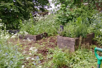 Bellenden Road Nature Garden