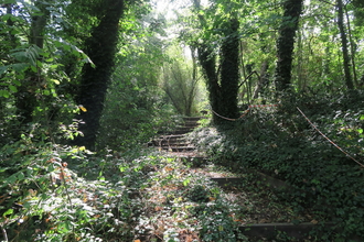 New Cross Gate Cutting