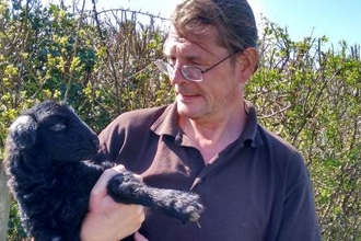 Morgan with a lamb