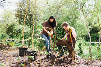 UPS Tree Planting
