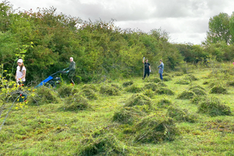 Mowing at Yeading Brook Meadows