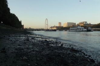 Westminster riverbank