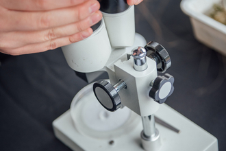 Person looking through microscope