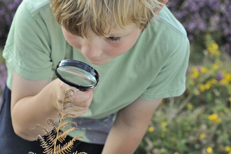 Boy searching for bugs using magnifying glass