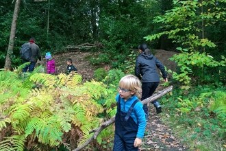 woodland