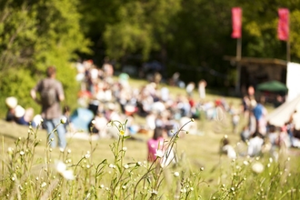 Festival stock footage