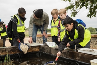 School Group at Woodberry Wetlands