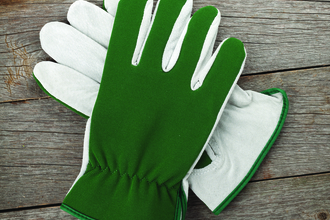 Green gloves